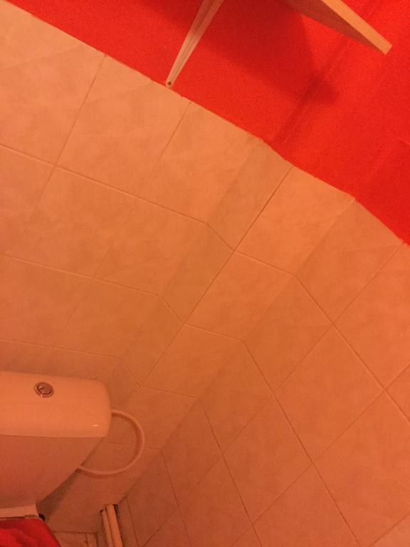 Lydiavi Lägenhet Vysoké Mýto Exteriör bild