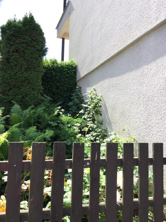 Lydiavi Lägenhet Vysoké Mýto Exteriör bild