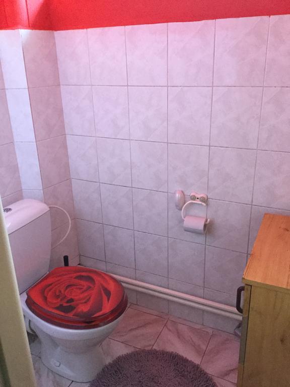 Lydiavi Lägenhet Vysoké Mýto Exteriör bild